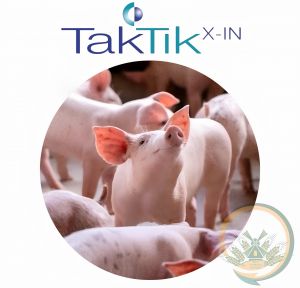 Підсолоджувач + біоактивні компоненти Taktik X-IN (ADM) ― Products