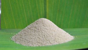 L-lysine monohydrochloride 98,5% ― Products