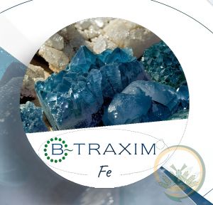 Біодоступне Залізо - B-Traxim (ADM) ― Products
