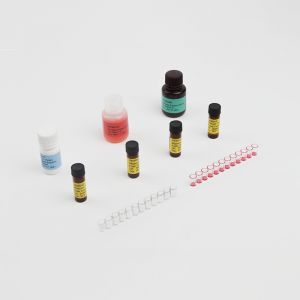 Veratox® for DON 5/5 — Тест для визначення деоксиніваленолу (8331) Neogen ― Продукція