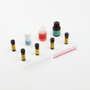 Високочутливий набір Veratox® HS for Aflatoxin HS (8031) Neogen ― Products