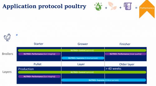 Без іменіпрр